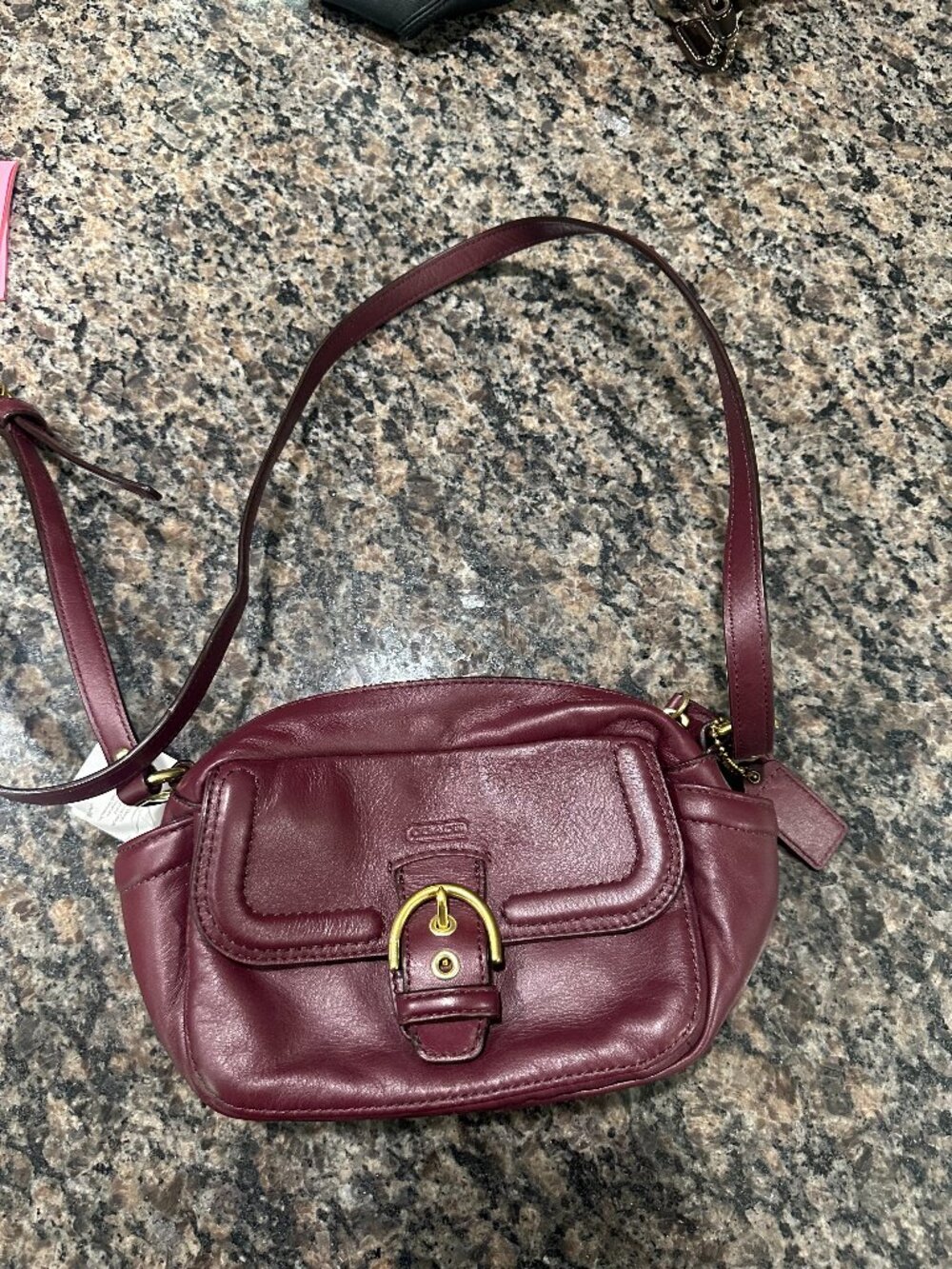 Coach Campbell Leather Camera Crossbody/Shoulder Bag #f1376-f25150